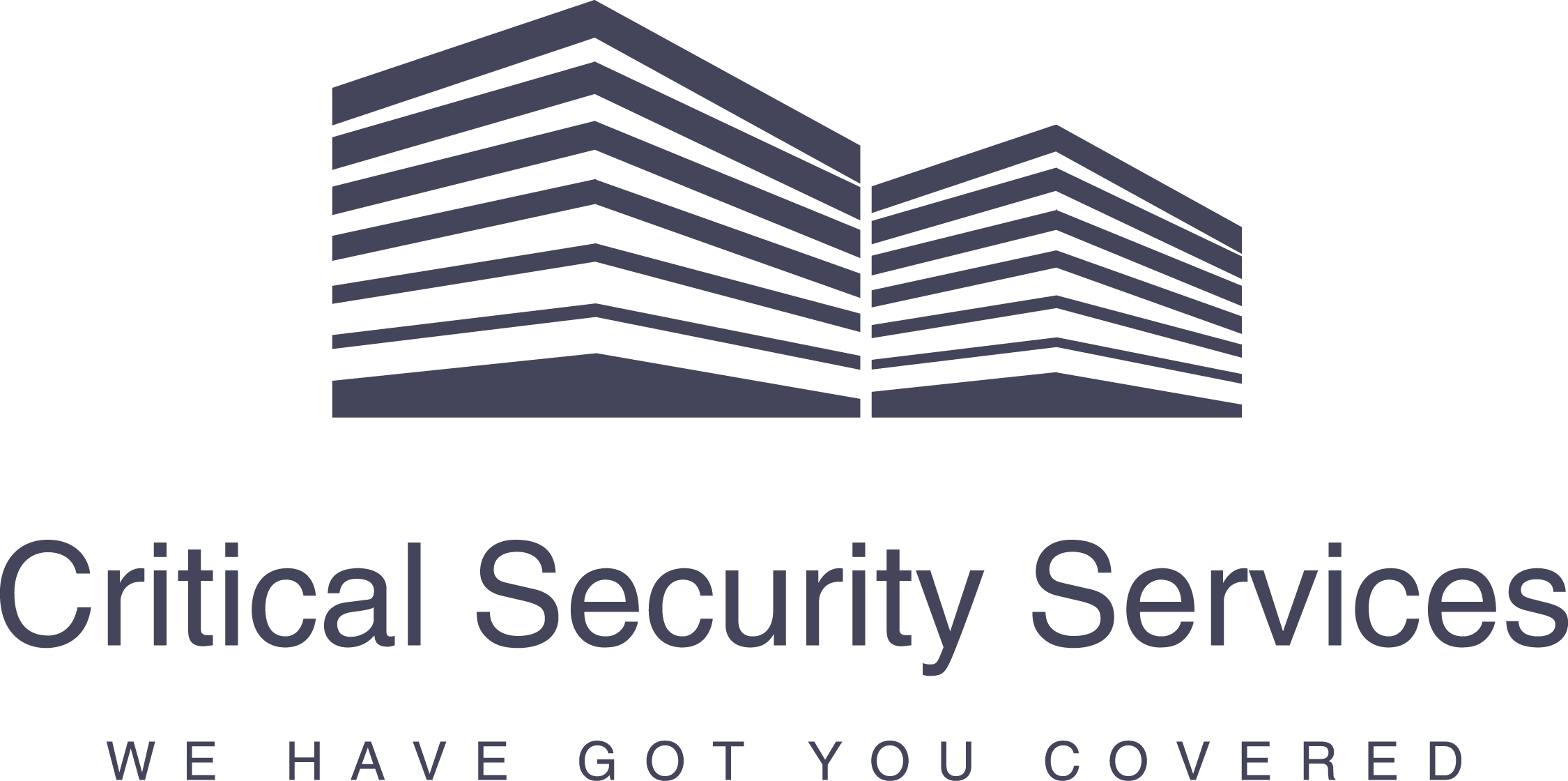Critical Security Services